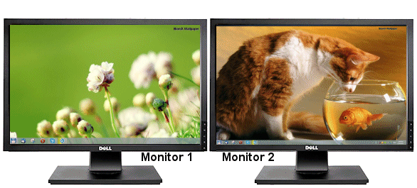 Individual wallpaper on a dual-monitor system